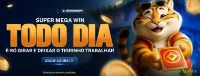 Parceiros 365slots